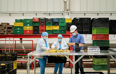深耕ESG治理提升可持续竞争力|光明乳业获2024中国企业ESG“金责奖”