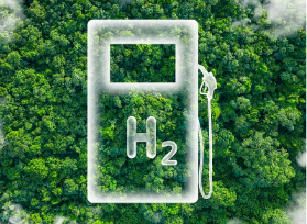 专家观点|透视欧盟绿色转型政策与实践